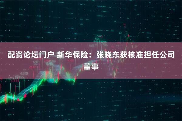 配资论坛门户 新华保险：张晓东获核准担任公司董事